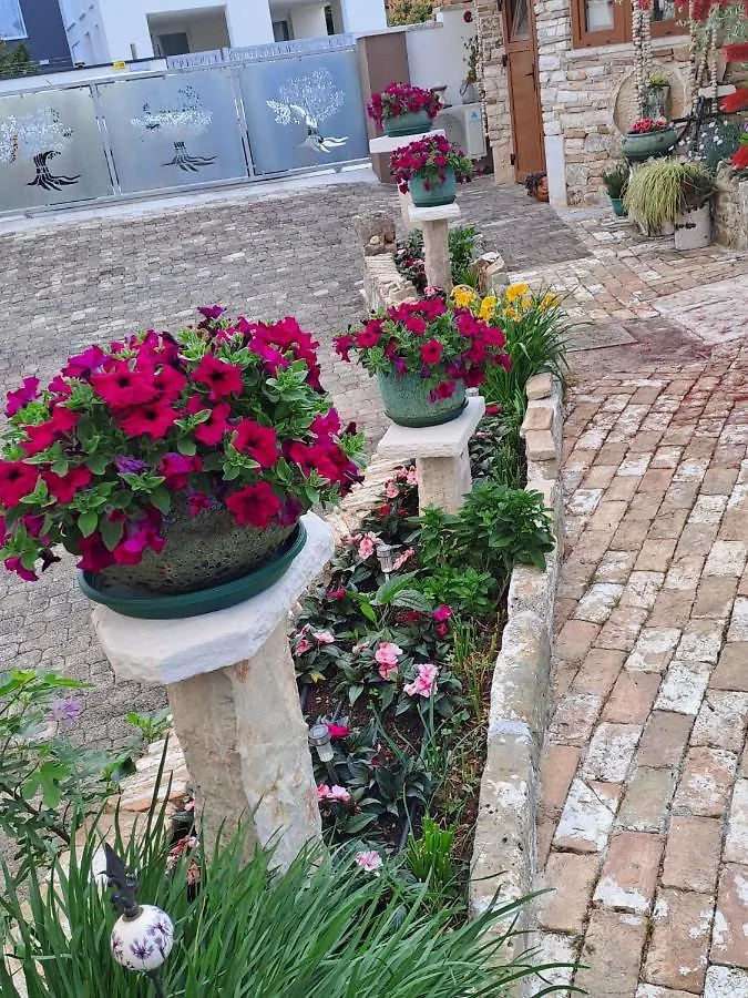 Apartments With A Parking Space Umag - 21460 Croatia